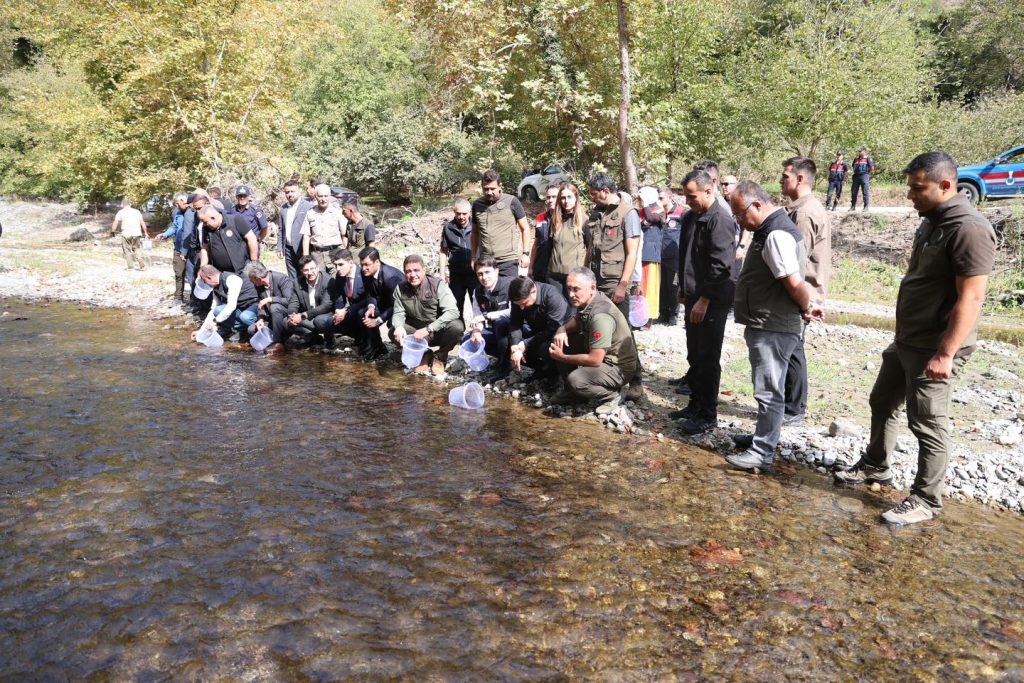 15 BİN ALABALIK DOĞAL ORTAMINA SALINDI!