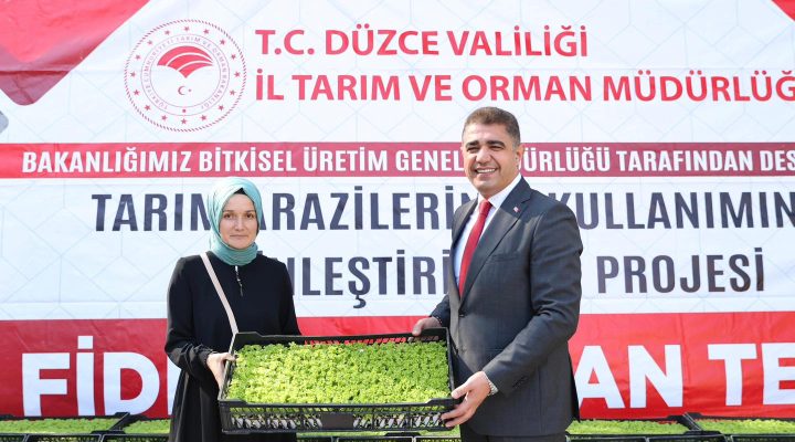 ÇİFTÇİLERE 250 BİN ADET MARUL FİDESİ DAĞITILDI!